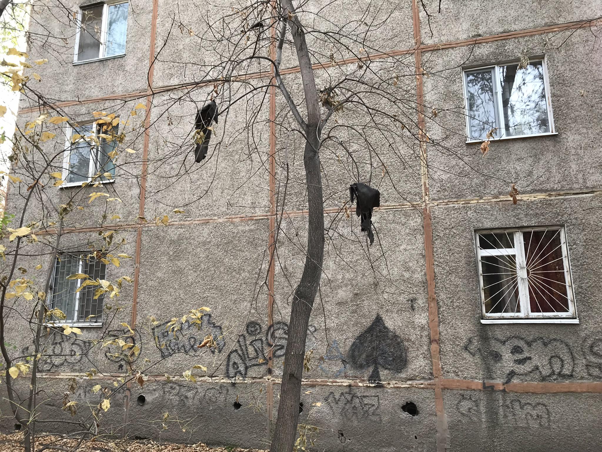 резина на дереве