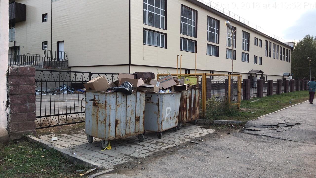 школьная мусорка