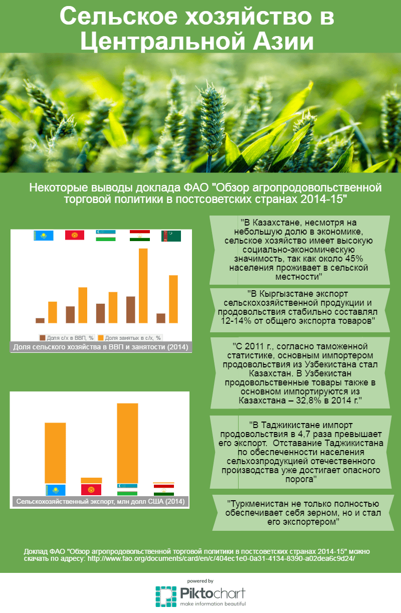 хозяйство стран центральной азии. сельское хозяйство зарубежной азии. хозяйство стран центральной азии. особенности хозяйства центральной азии. продовольственная безопасность в сельском хозяйстве.